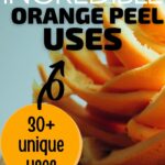 Orange peel uses collage