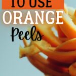 Orange peel uses collage