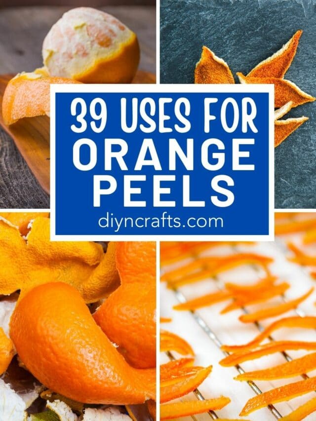 39 Uses for Orange Peels