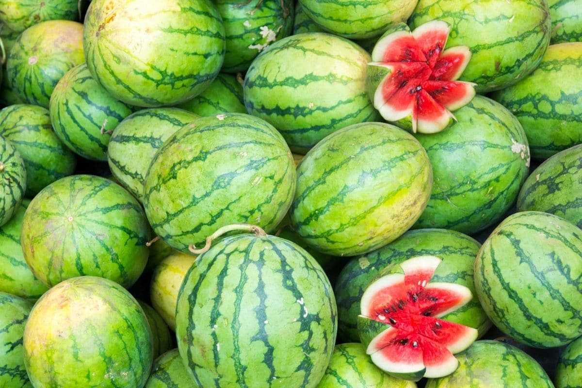 Haufen Wassermelone mit geschnittener Wassermelone 