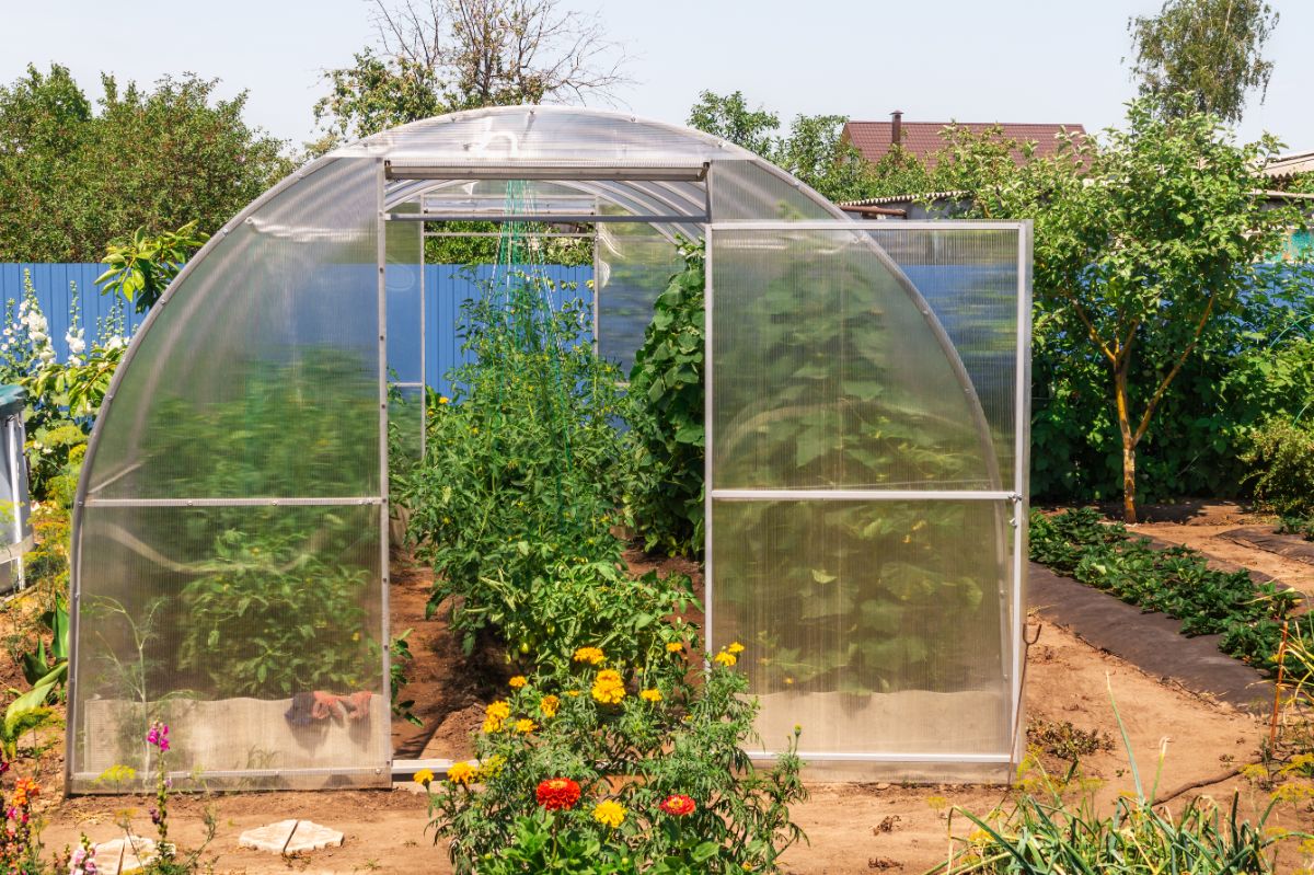 small greenhouse