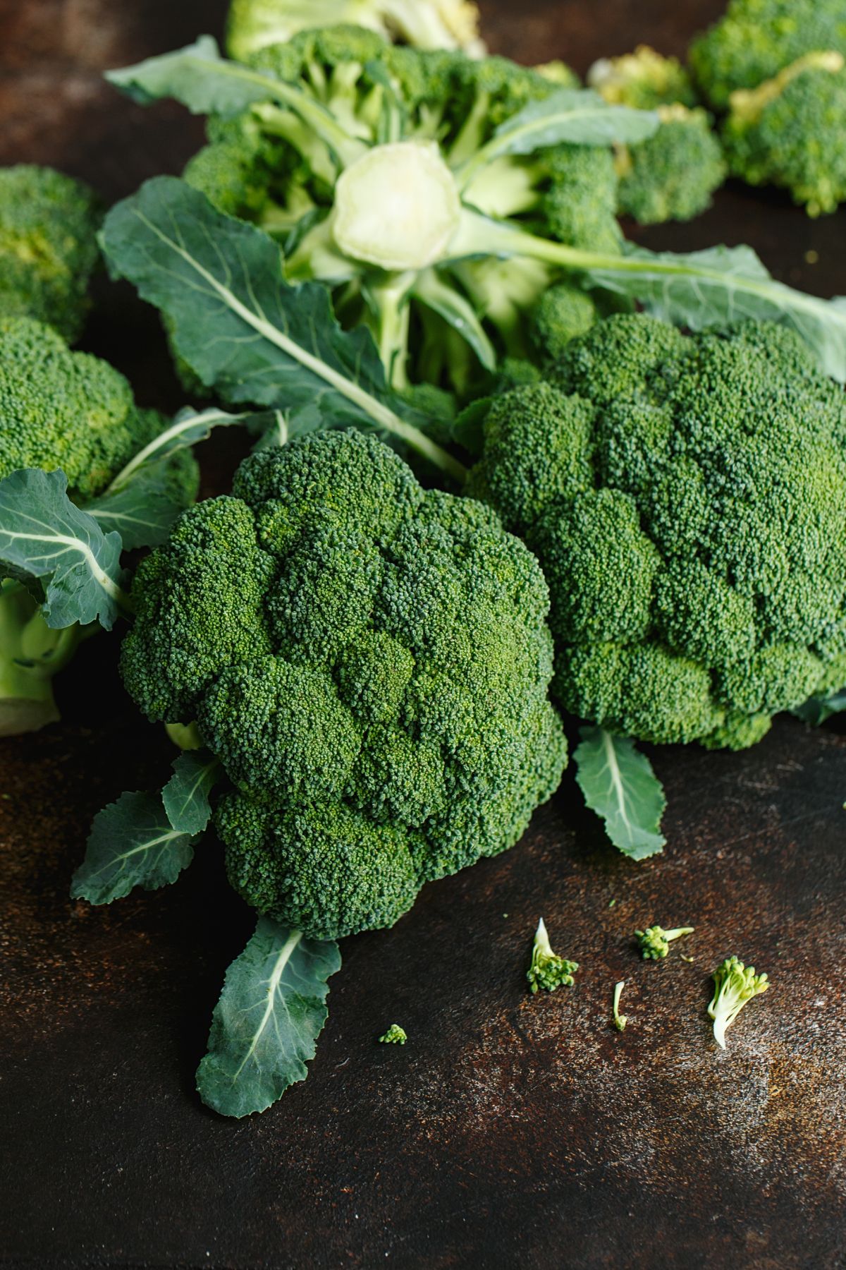 fresh broccoli 