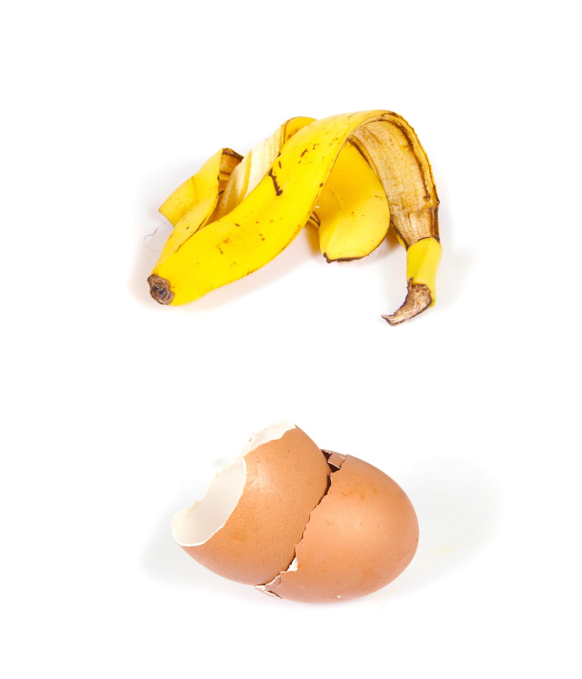 eine Bananenschale und Eierschalen 