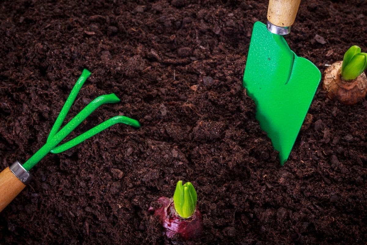 soil with gardening tools