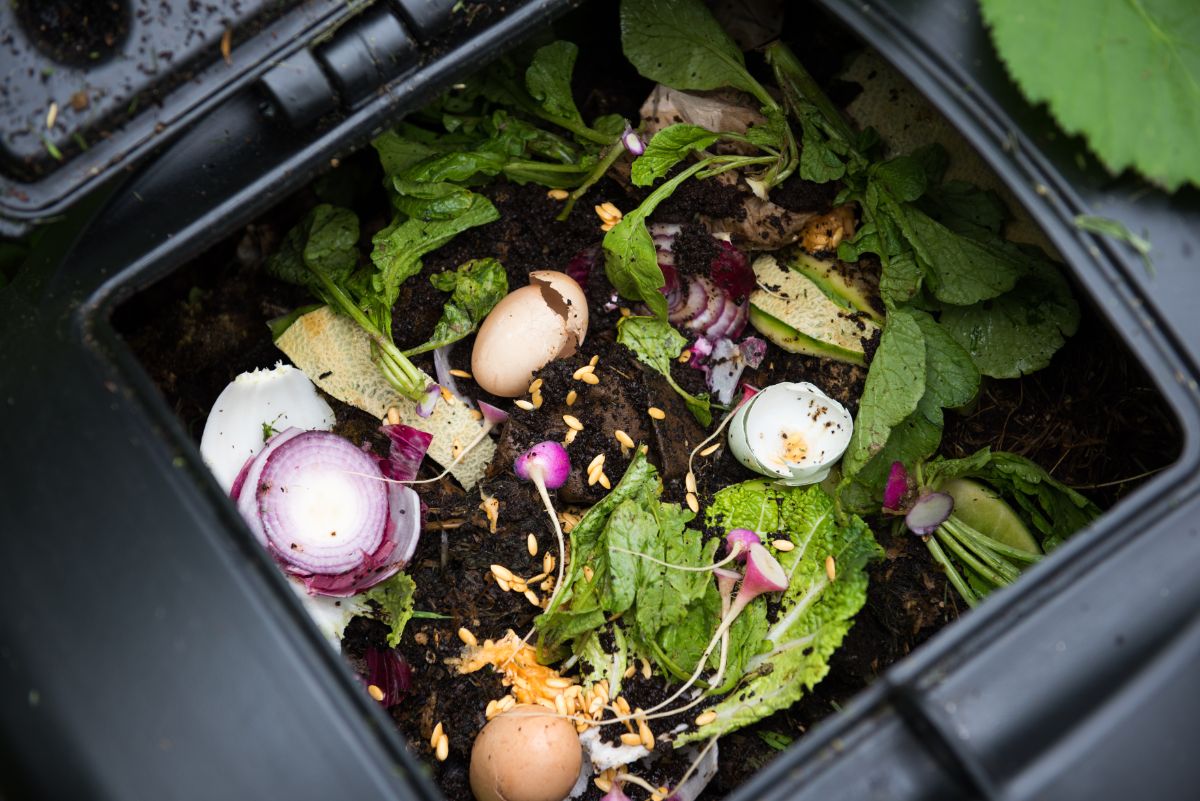 Kompostbehälter mit Essensresten und Grasabfällen