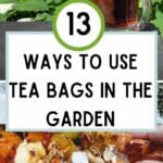 Möglichkeiten, Teebeutel im Garten zu verwenden