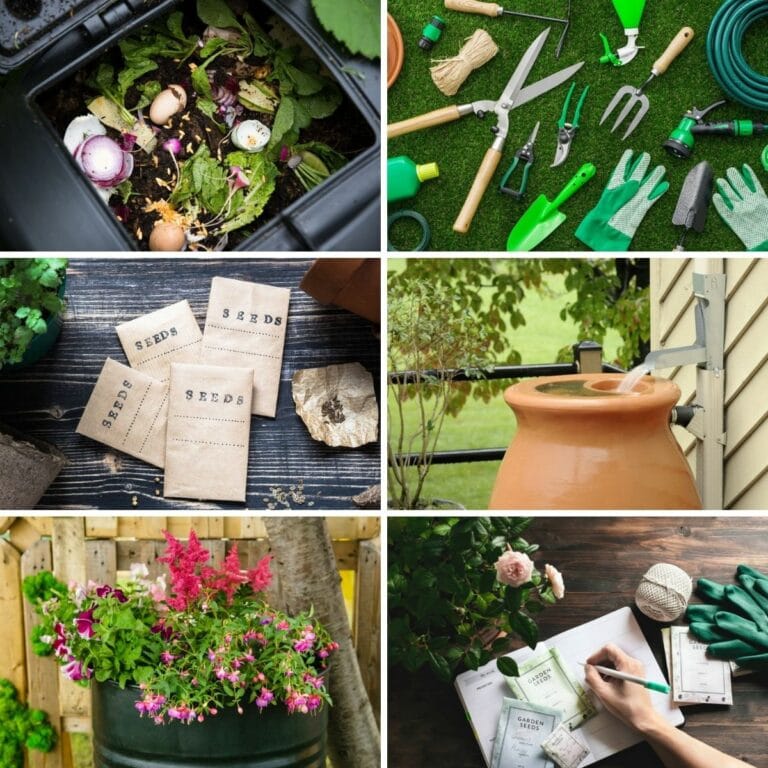 Tips for Starting a Garden on a Budget