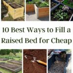 Best Ways to Fill a Raised Bed for Cheap