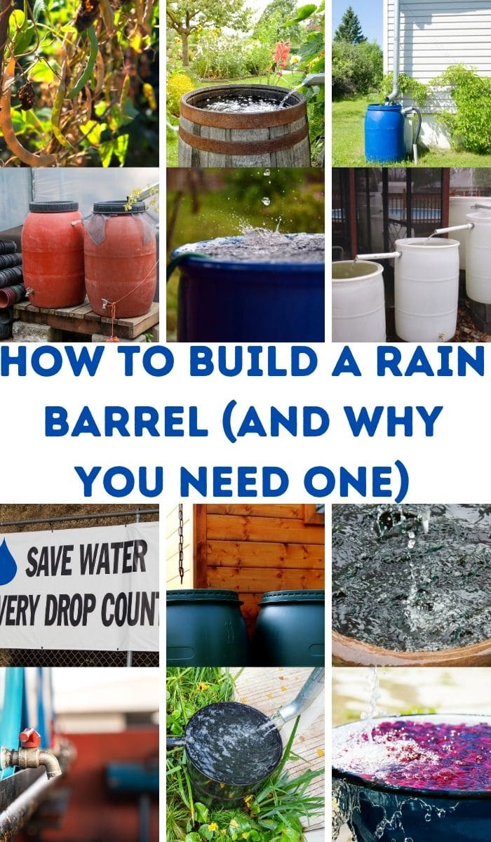 5 Simple Tips for How to Build a Rain Barrel for Your Garden - DIY & Crafts