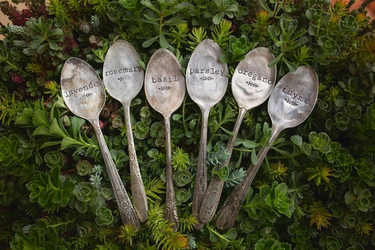 Spoon garden markers on plants