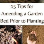 Tips for Amending a Garden Bed Prior to Planting