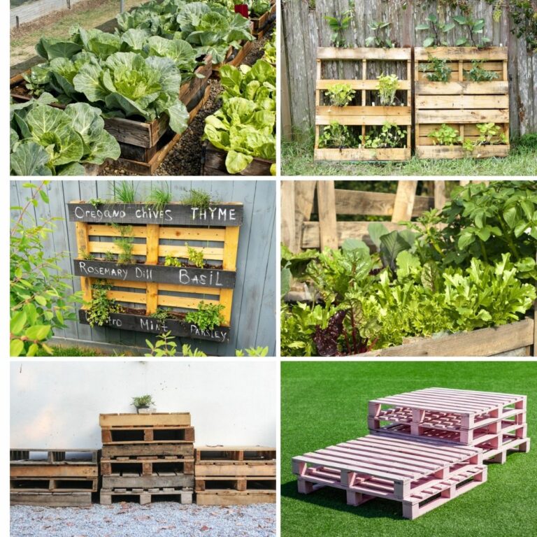 How to Make and Grow in a Pallet Garden