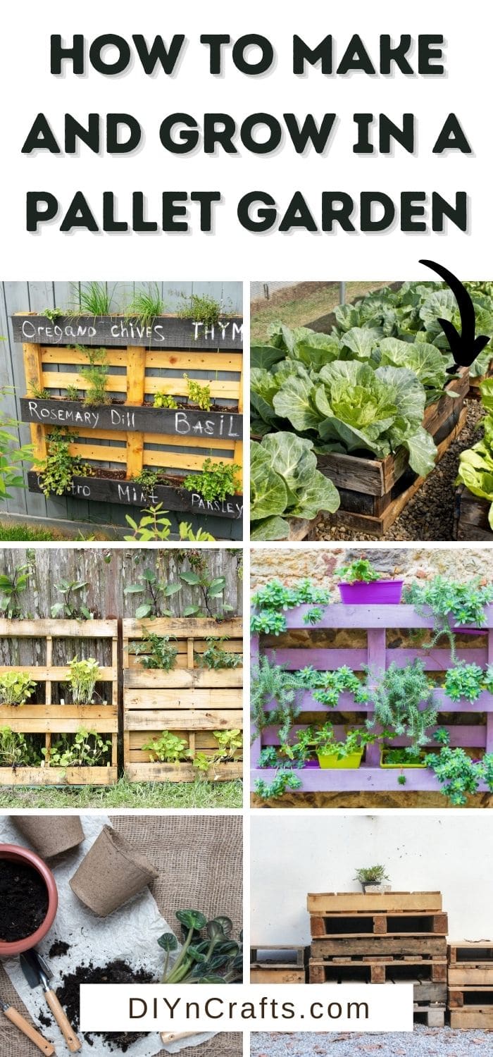 How to Make and Grow in a Pallet Garden