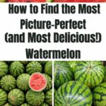 So finden Sie die bildschönste (und köstlichste!) Wassermelone