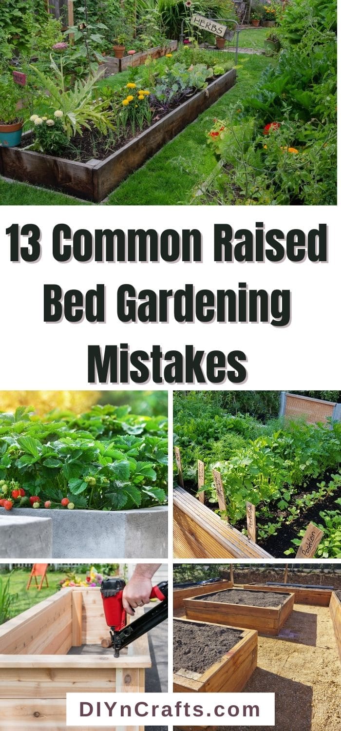 Common Raised Bed Gardening Mistakes