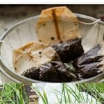 Ways to Use Tea Bags in the Garden