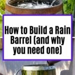 How to Build a Rain Barrel and why you need one