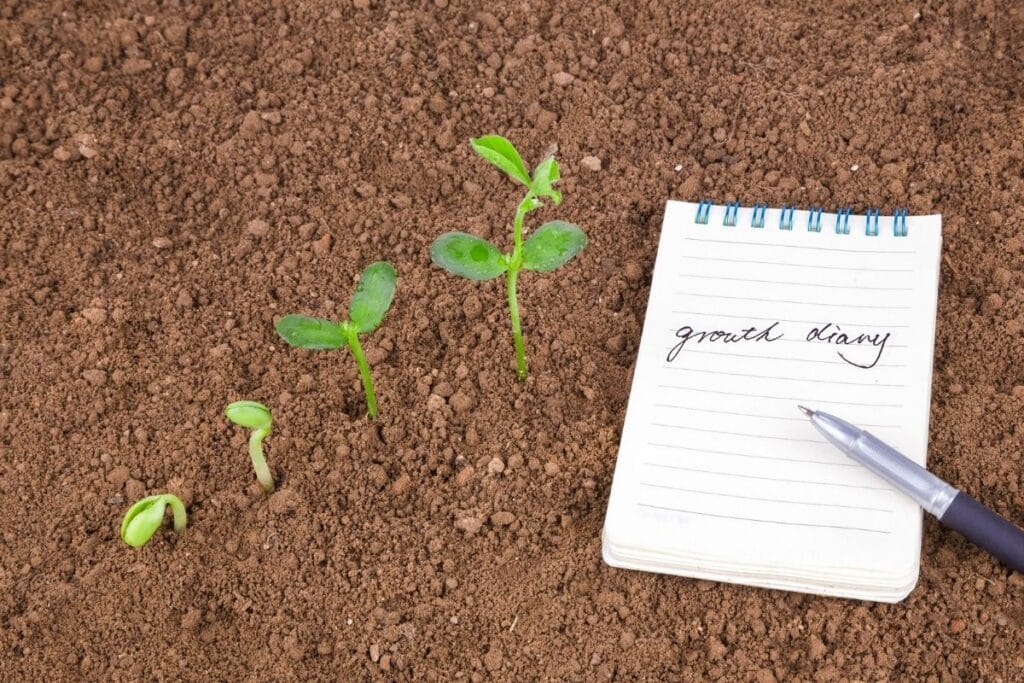 20 Most Common Seed Starting Mistakes and How to Avoid Them