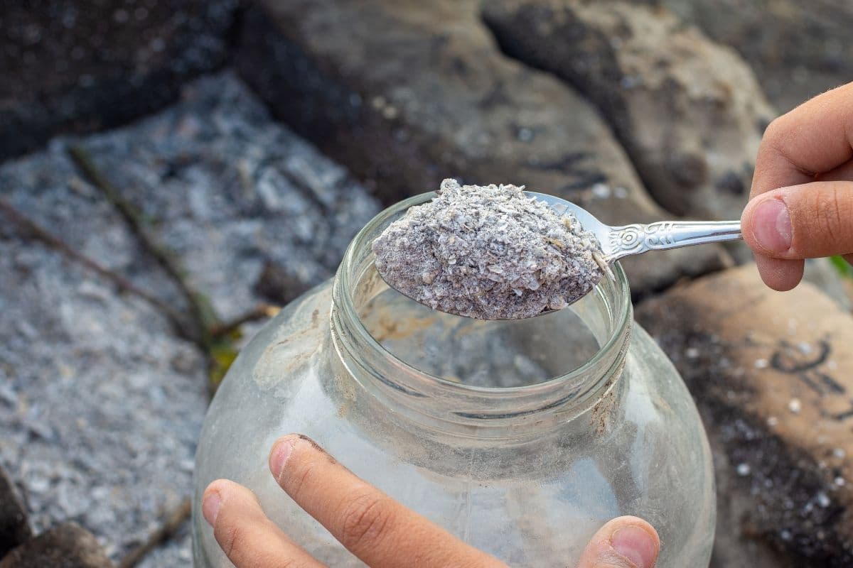 putting wood ash in a glass jar to store