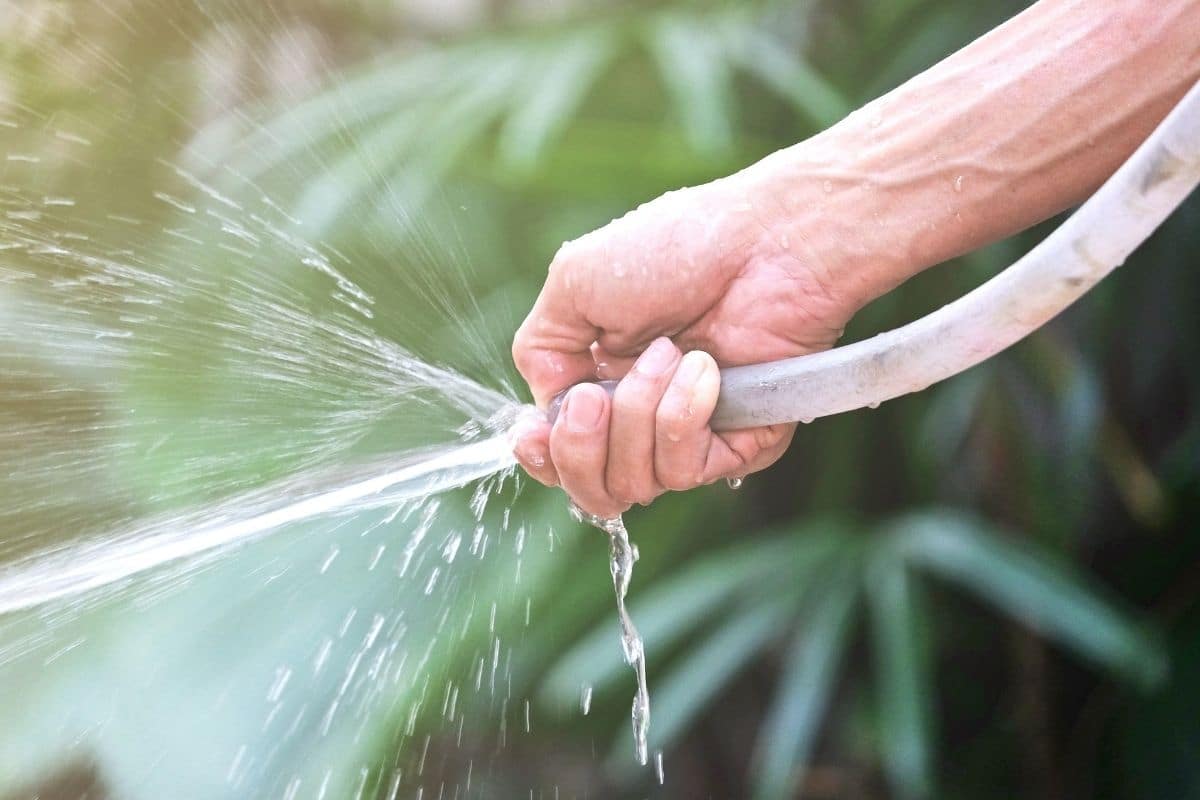 spraying water using a hose in the garden