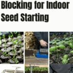 What is Soil Blocking for Indoor Seed Starting