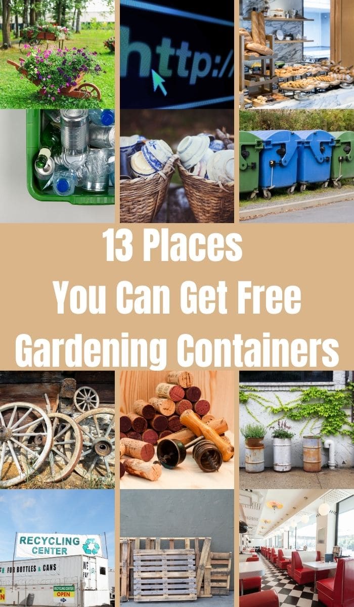 Places You Can Get Free Gardening Containers