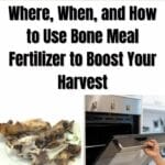 Where, When, and How to Use Bone Meal Fertilizer to Boost Your Harvest