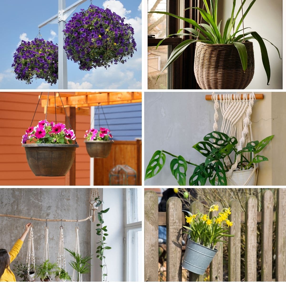 Clevere Möglichkeiten, Ihre Pflanzen aufzuhängen
