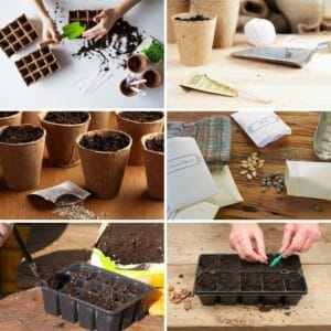 20 Most Common Seed Starting Mistakes and How to Avoid Them
