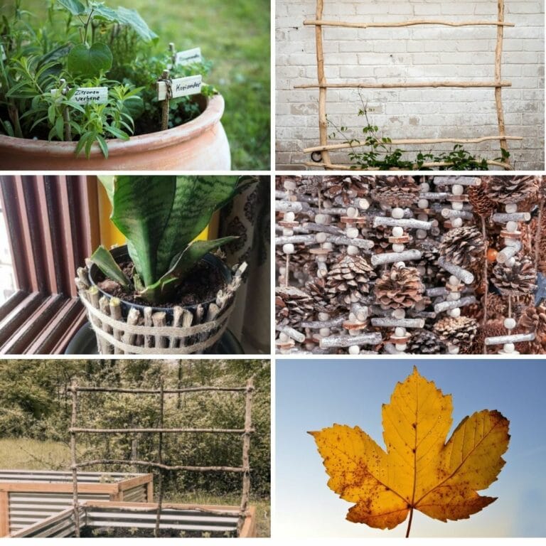 6 Garden Projects Using Sticks and Twigs