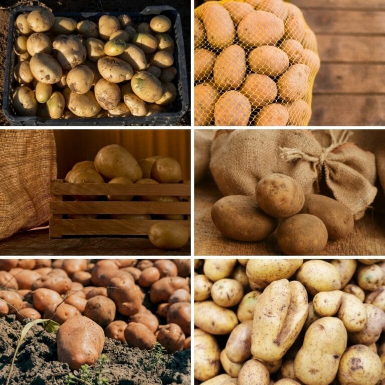 6 Helpful Tips for Storing Potatoes