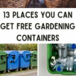Orte, an denen Sie kostenlose Gartencontainer erhalten können