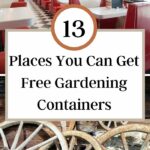 Orte, an denen Sie kostenlose Gartencontainer erhalten können