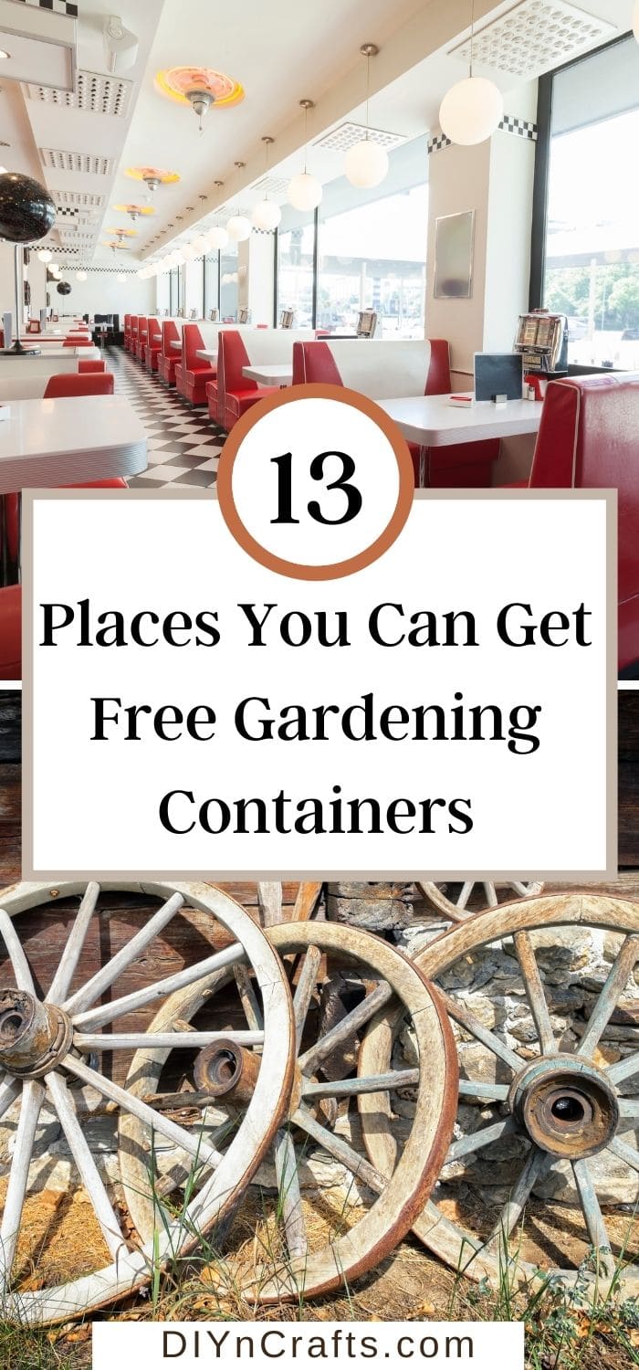 Places You Can Get Free Gardening Containers