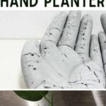 Wie man einen lustigen DIY konkreten Handpflanzer macht