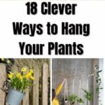 Clevere Möglichkeiten, Ihre Pflanzen aufzuhängen
