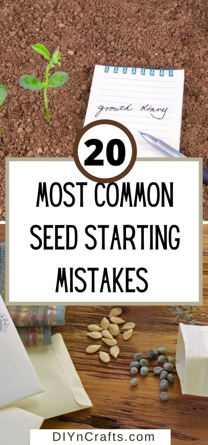 Most Common Seed Starting Mistakes