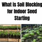 Was ist Bodenblockierung für den Start von Saatgut in Innenräumen?