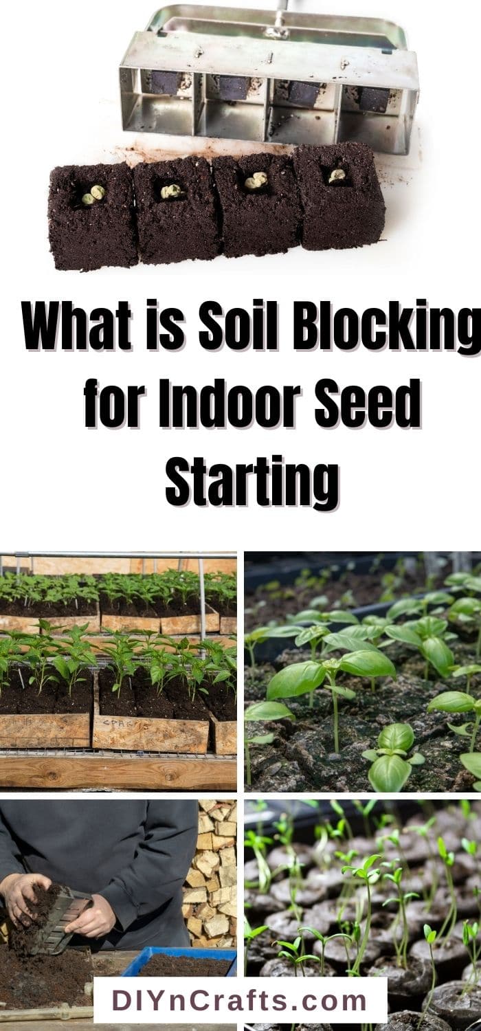 What is Soil Blocking for Indoor Seed Starting