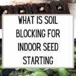 Was ist Bodenblockierung für den Start von Saatgut in Innenräumen?