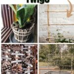 6 Gartenprojekte mit Stöcken und Zweigen
