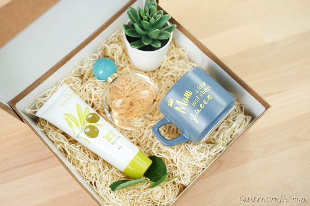 Gift box with tube of lotion small plant and blue mug