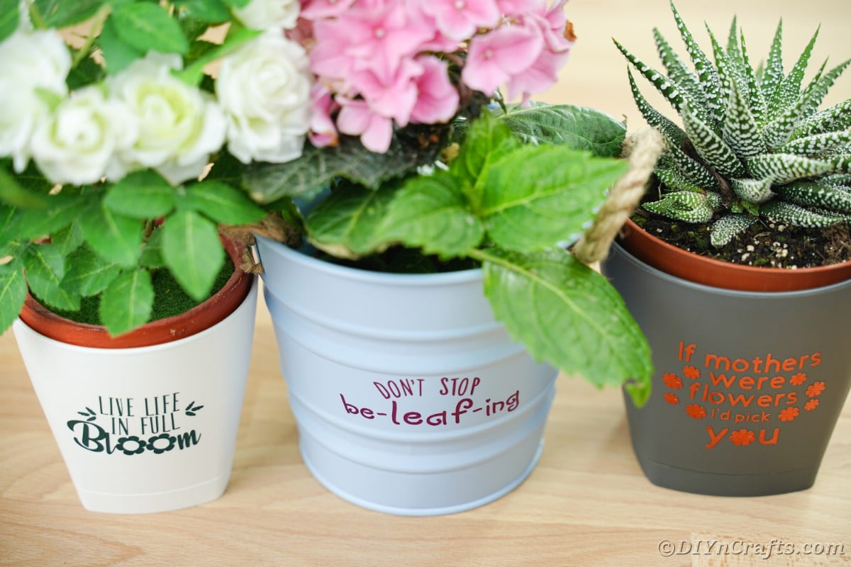 Trio of inspirational flower pots on table
