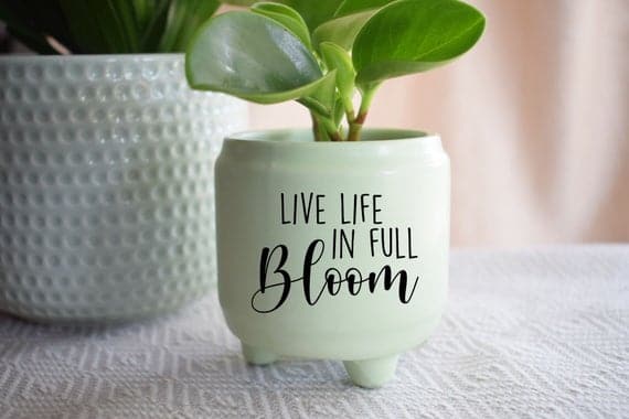 Live Life In Full Bloom Planter Decal Only Inspirational | Etsy