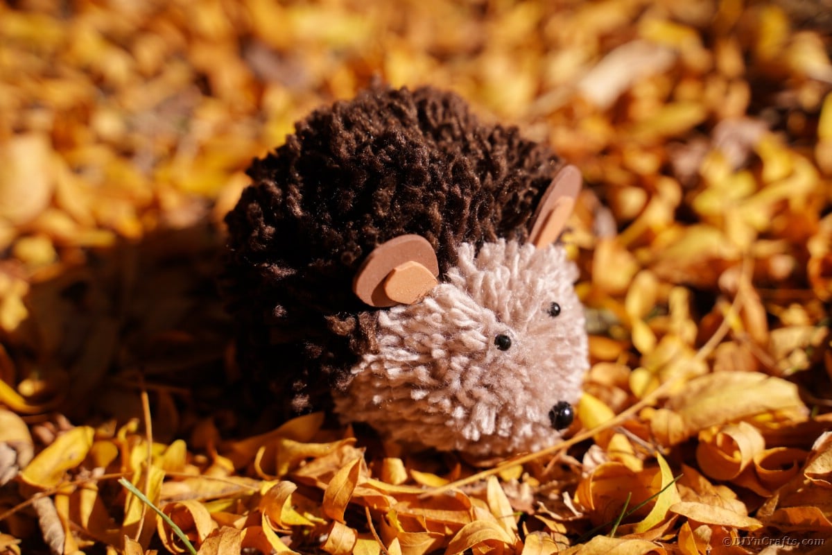 Brown pom pom hedgehog on top of leaves