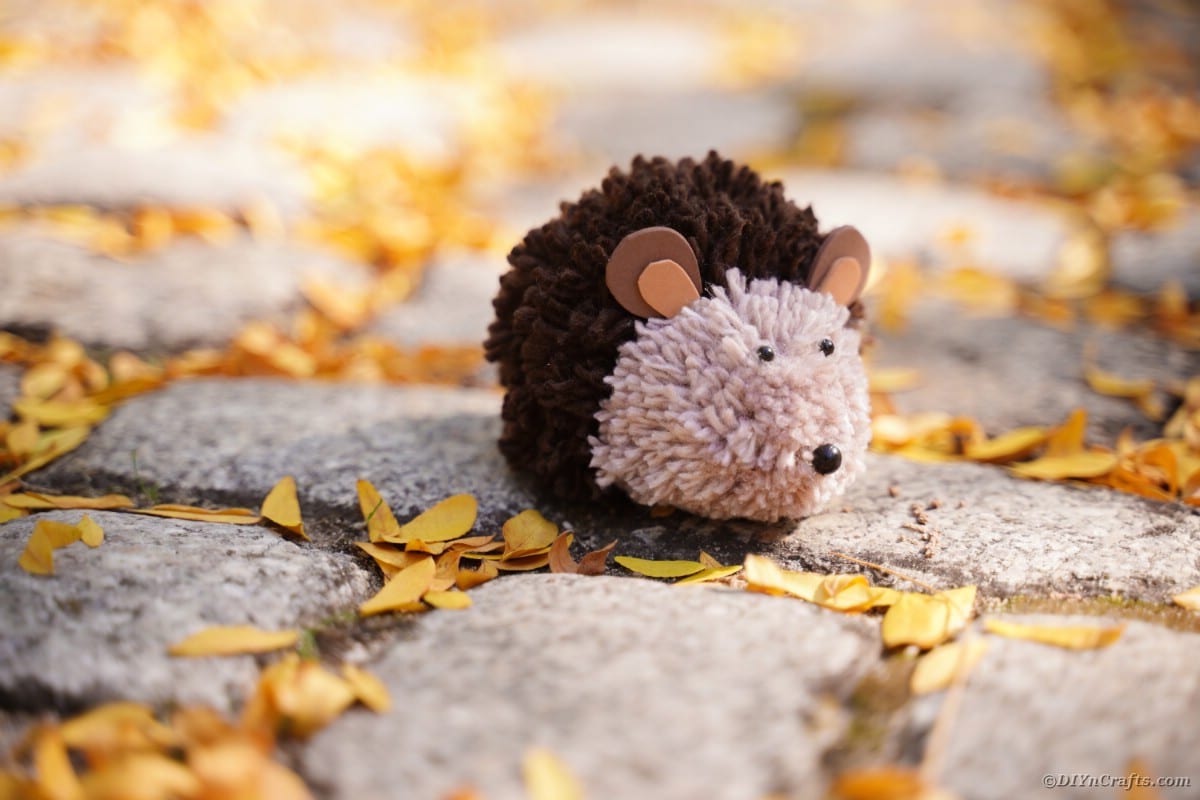 Pom pom hedgehog on cobblestone with fallen leaves