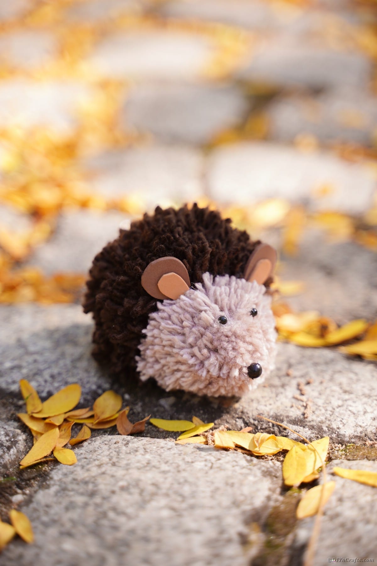 Cobblestone path with yarn hedgehog and leaves
