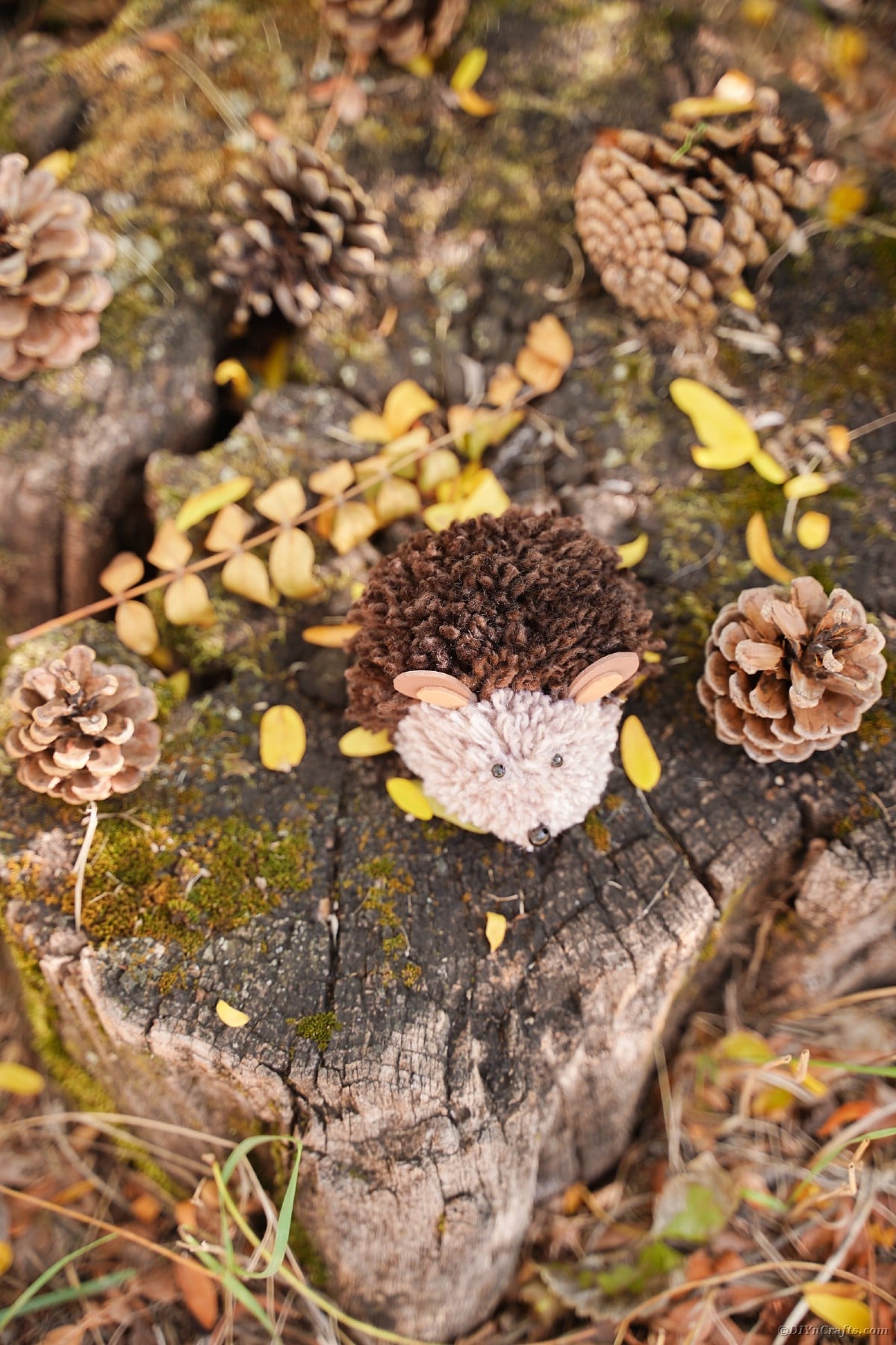 Brown yarn hedgehog on top of moss covered stump