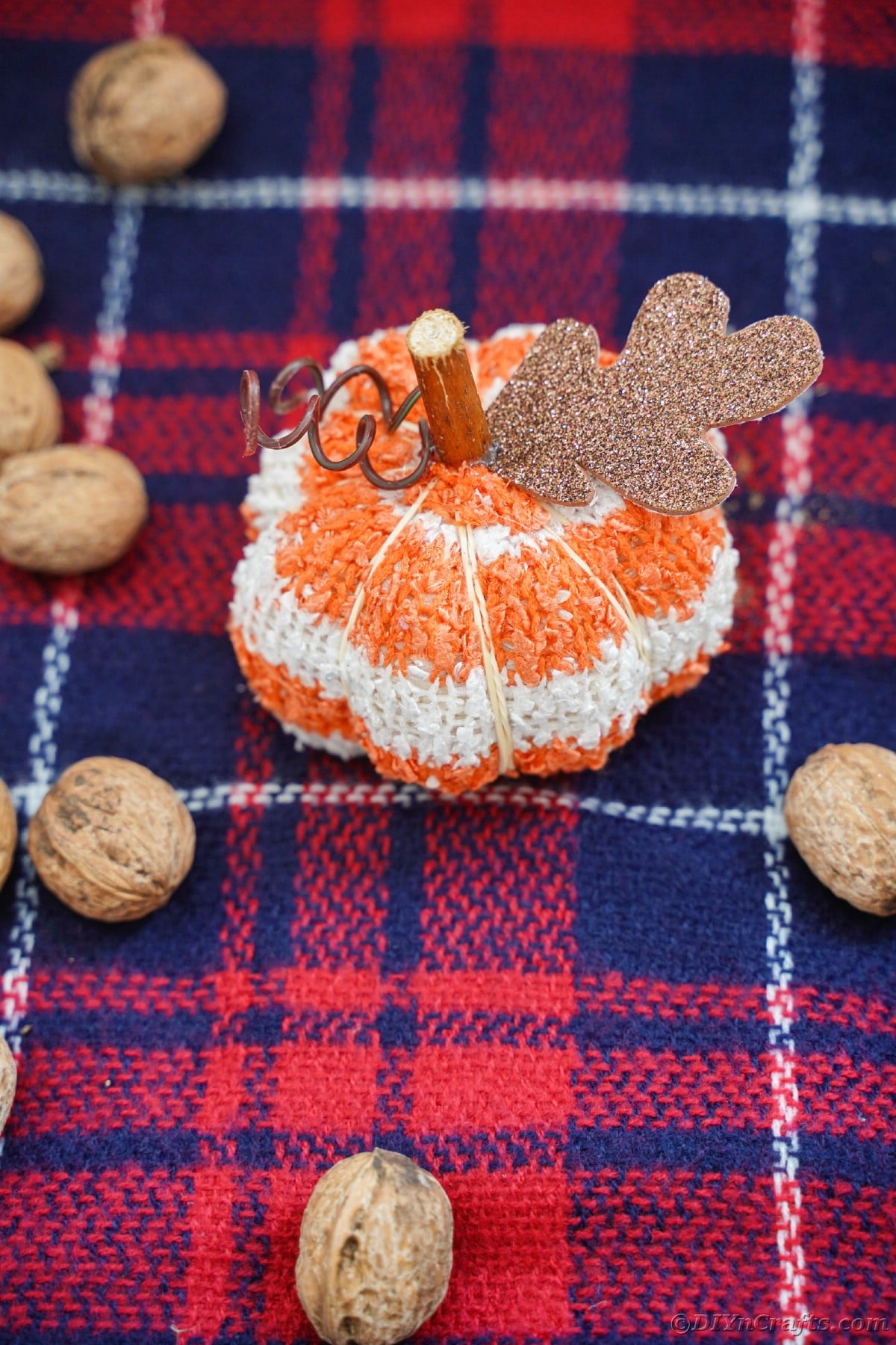 Blue plaid fabric with pecans in shell and stuffed pumpkin