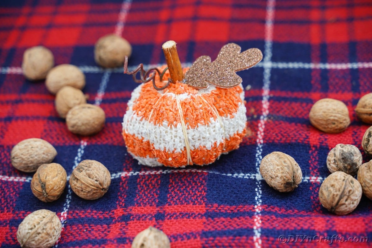 Red and blue plaid fabric underneath whole pecans and striped fabric pumpkin